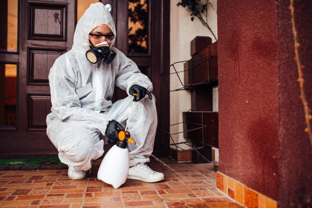 Reliable Cockroach Control contractor in San Diego, CA by Nex Pest Control